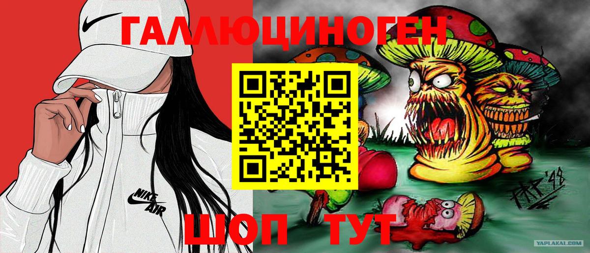 Псилоцибиновые грибы Cubensis Челябинск